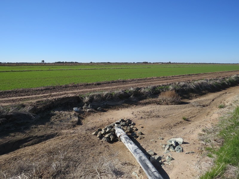 666 Lindifferon Lane, Deniliquin NSW 2710