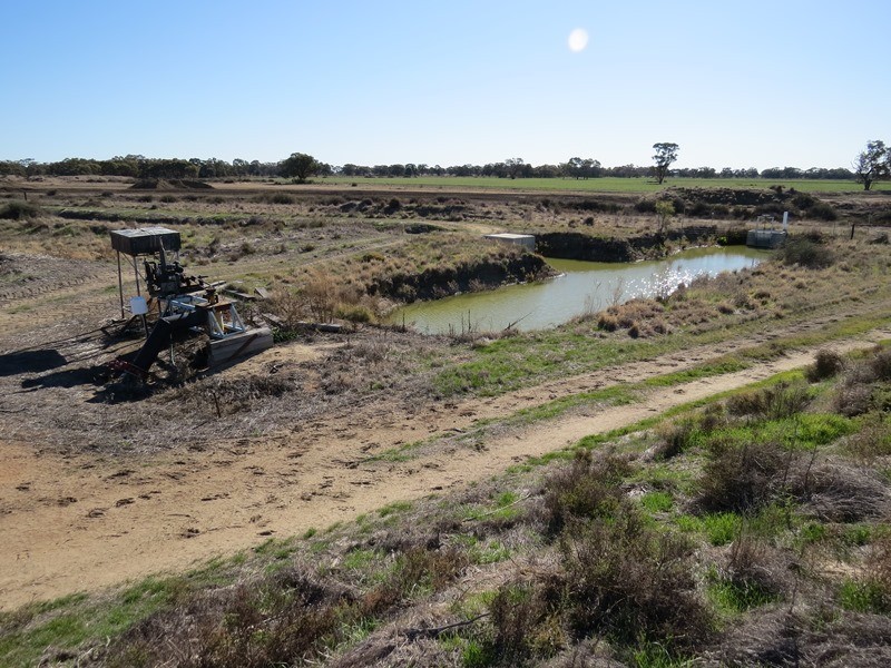 666 Lindifferon Lane, Deniliquin NSW 2710