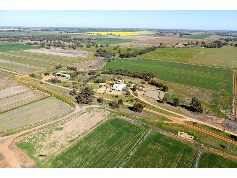666 Lindifferon Lane, Deniliquin NSW 2710