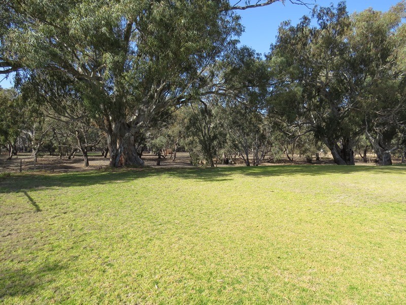 83 Billabong Creek Drive, Conargo NSW 2710