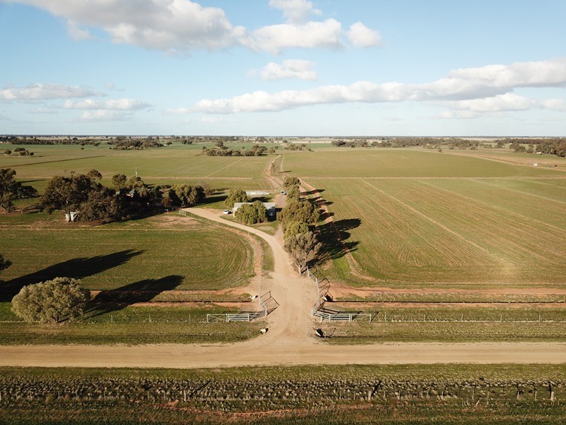 83 Hogans Lane, Deniliquin NSW 2710