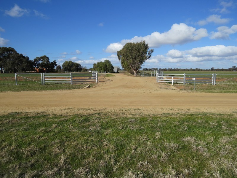 83 Hogans Lane, Deniliquin NSW 2710