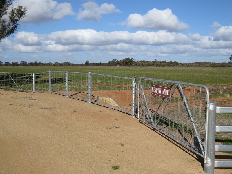 83 Hogans Lane, Deniliquin NSW 2710