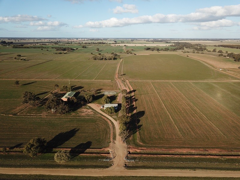 83 Hogans Lane, Deniliquin NSW 2710