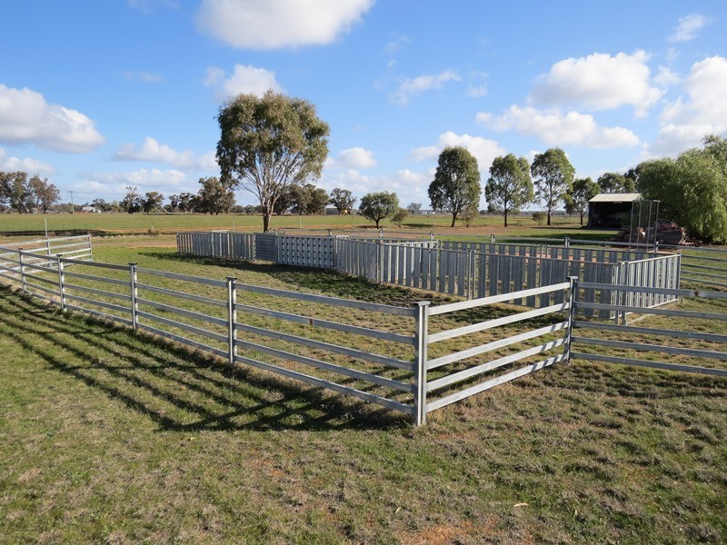 83 Hogans Lane, Deniliquin NSW 2710