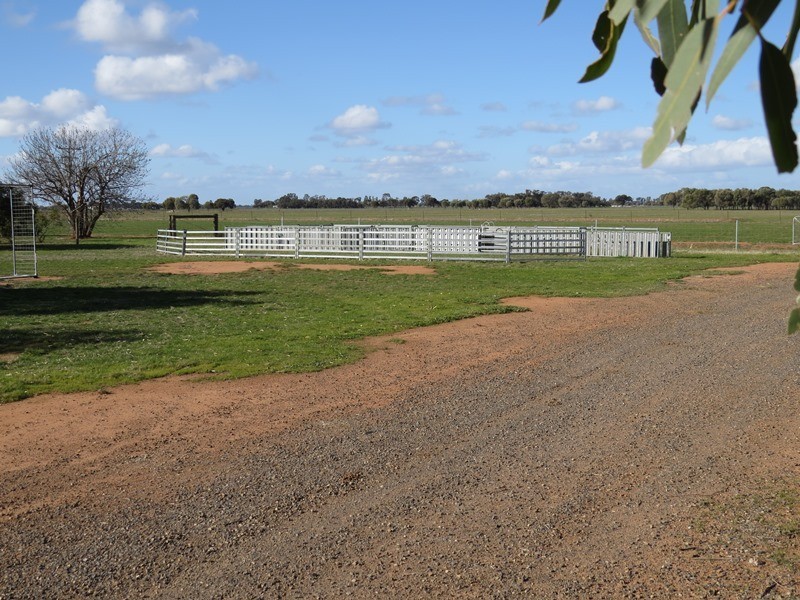 83 Hogans Lane, Deniliquin NSW 2710