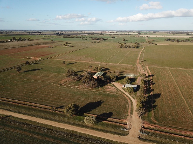 83 Hogans Lane, Deniliquin NSW 2710