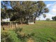 83 Hogans Lane, Deniliquin NSW 2710