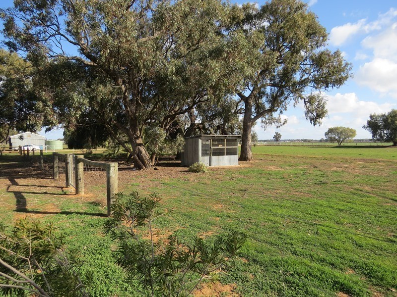 83 Hogans Lane, Deniliquin NSW 2710