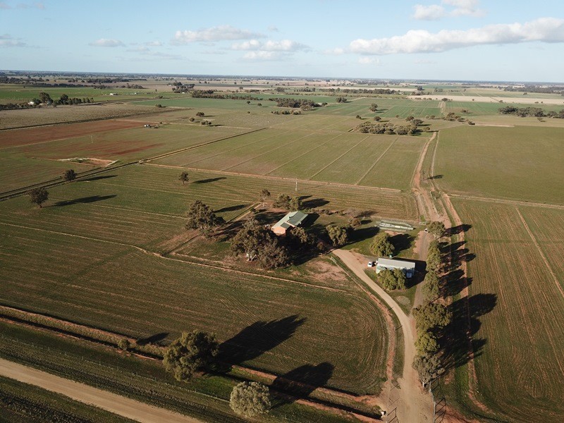 83 Hogans Lane, Deniliquin NSW 2710