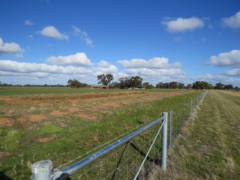83 Hogans Lane, Deniliquin NSW 2710