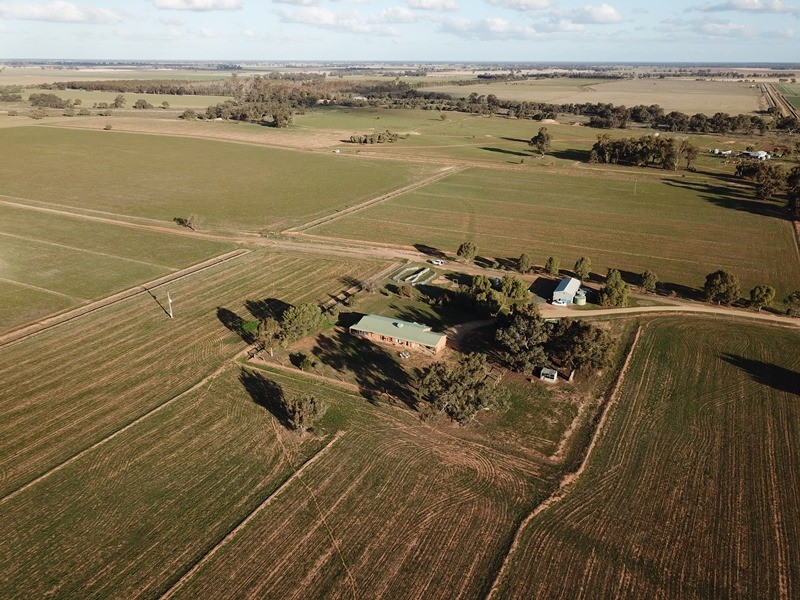 83 Hogans Lane, Deniliquin NSW 2710