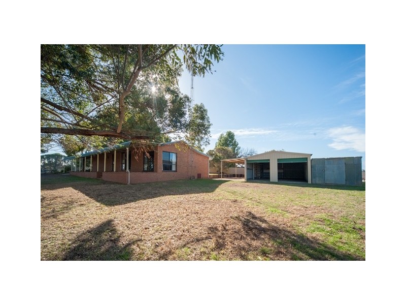 162 Paynter Siding Road, Narrandera NSW 2700