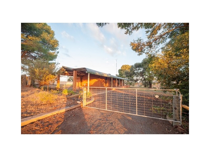 162 Paynter Siding Road, Narrandera NSW 2700