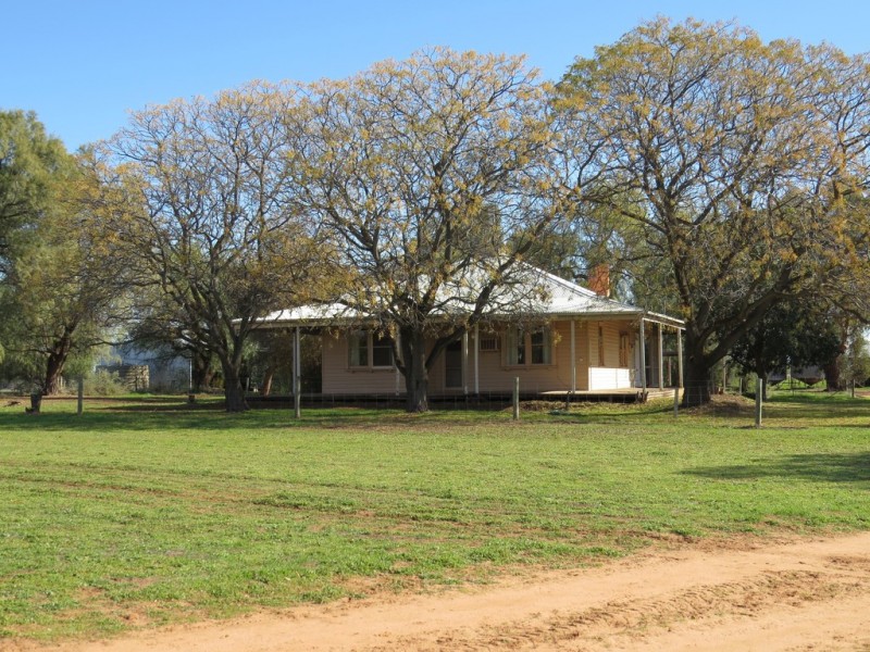 1271 Jerilderie Road, Berrigan NSW 2712