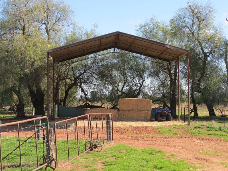 1271 Jerilderie Road, Berrigan NSW 2712