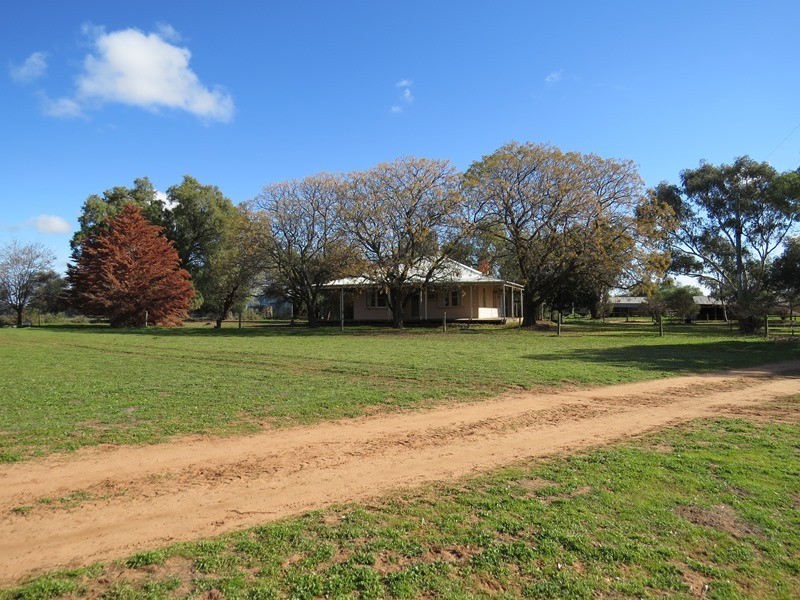 1271 Jerilderie Road, Berrigan NSW 2712