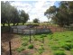 1271 Jerilderie Road, Berrigan NSW 2712