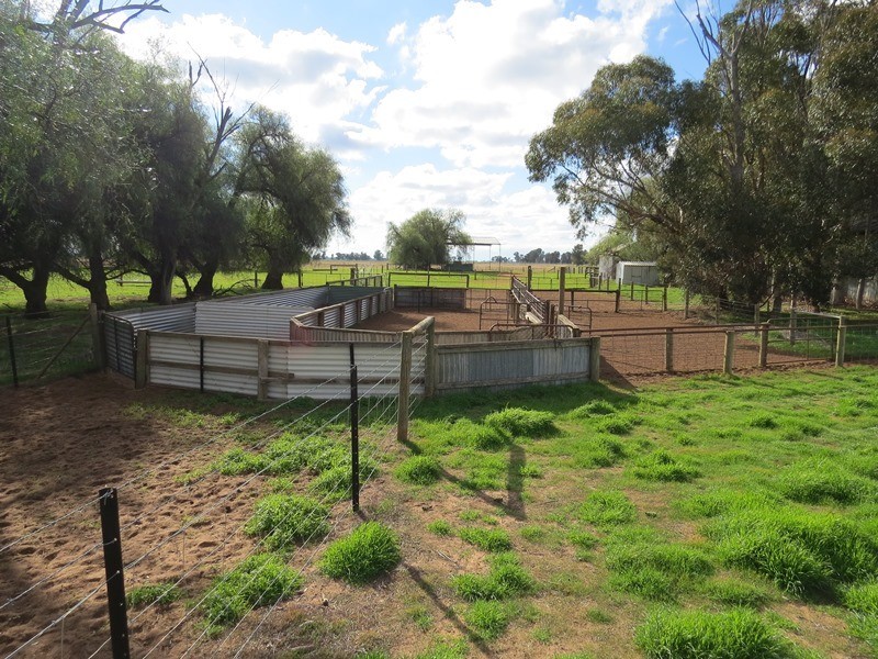1271 Jerilderie Road, Berrigan NSW 2712