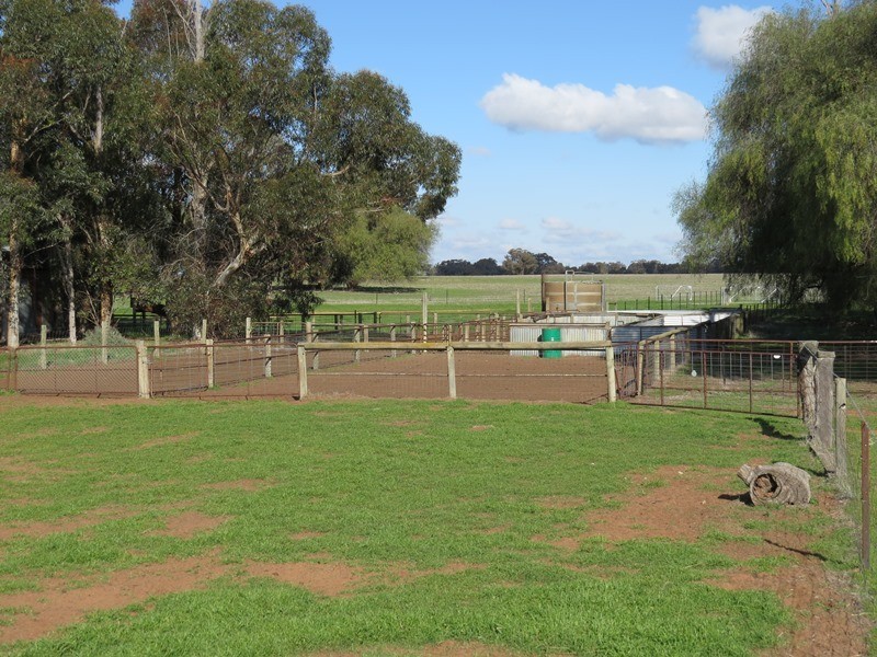 1271 Jerilderie Road, Berrigan NSW 2712