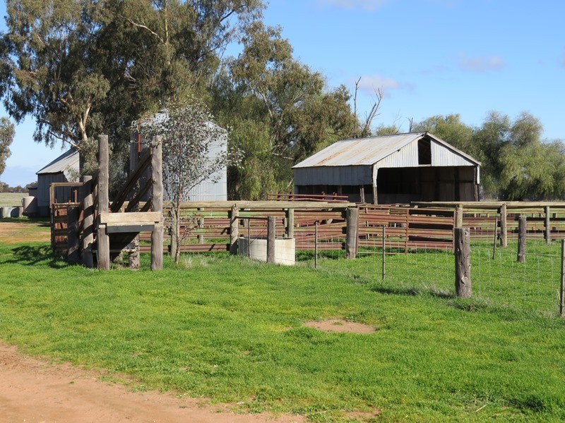 1271 Jerilderie Road, Berrigan NSW 2712