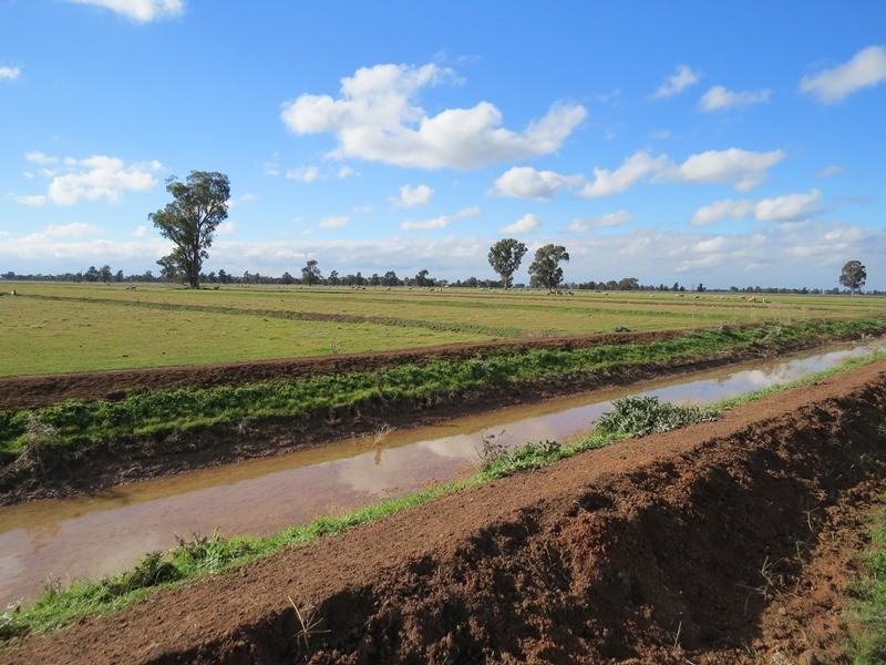 1271 Jerilderie Road, Berrigan NSW 2712