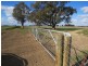 1271 Jerilderie Road, Berrigan NSW 2712