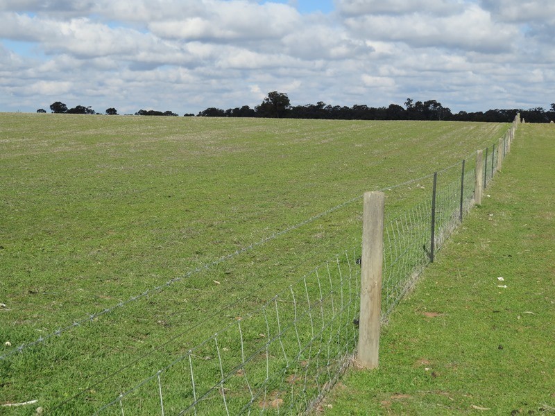 1271 Jerilderie Road, Berrigan NSW 2712