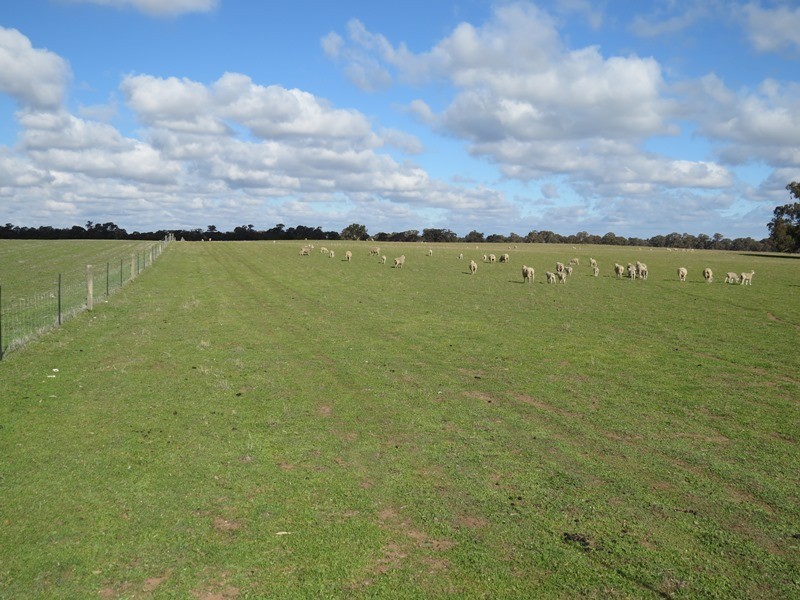 1271 Jerilderie Road, Berrigan NSW 2712