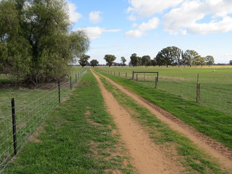 1271 Jerilderie Road, Berrigan NSW 2712