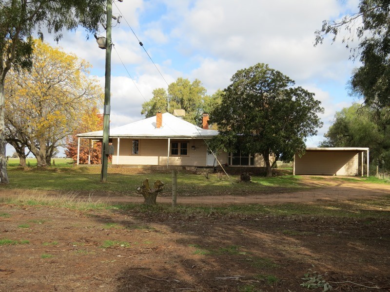 1271 Jerilderie Road, Berrigan NSW 2712