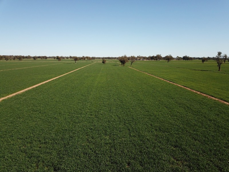 535 Aratula South Road, Deniliquin NSW 2710