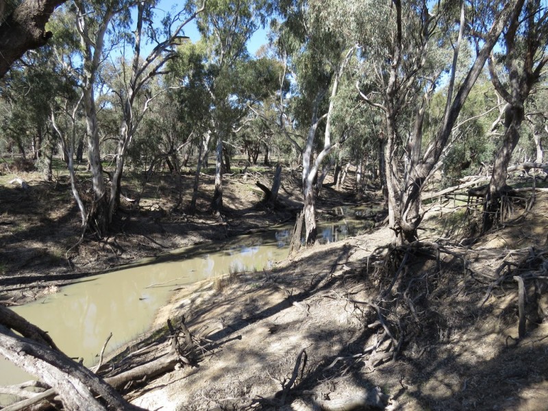 535 Aratula South Road, Deniliquin NSW 2710