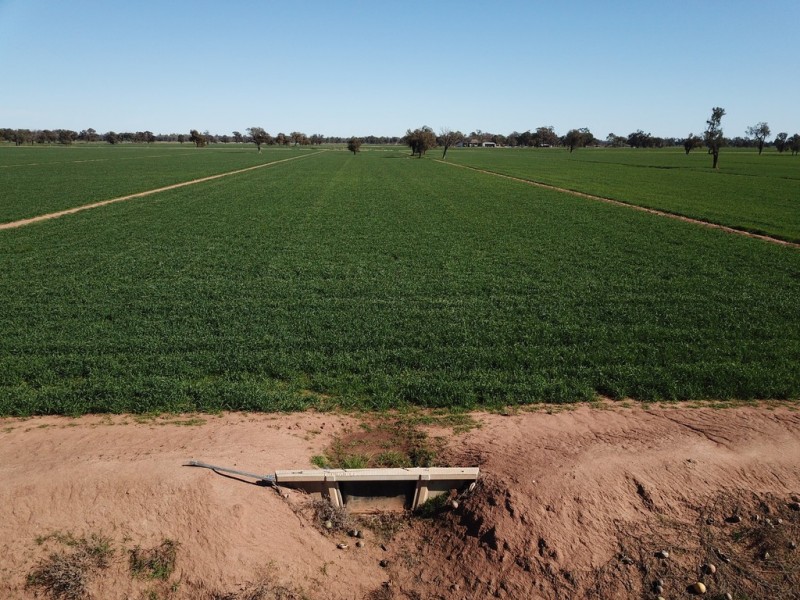 535 Aratula South Road, Deniliquin NSW 2710