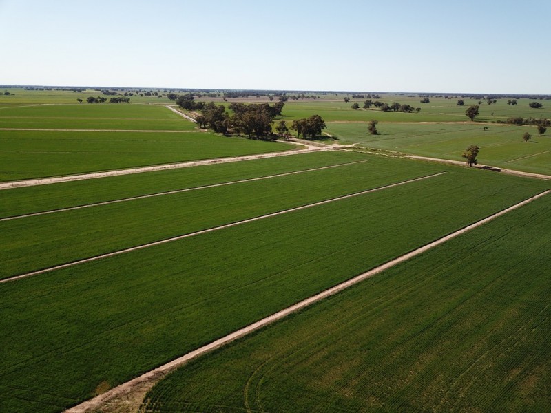 535 Aratula South Road, Deniliquin NSW 2710