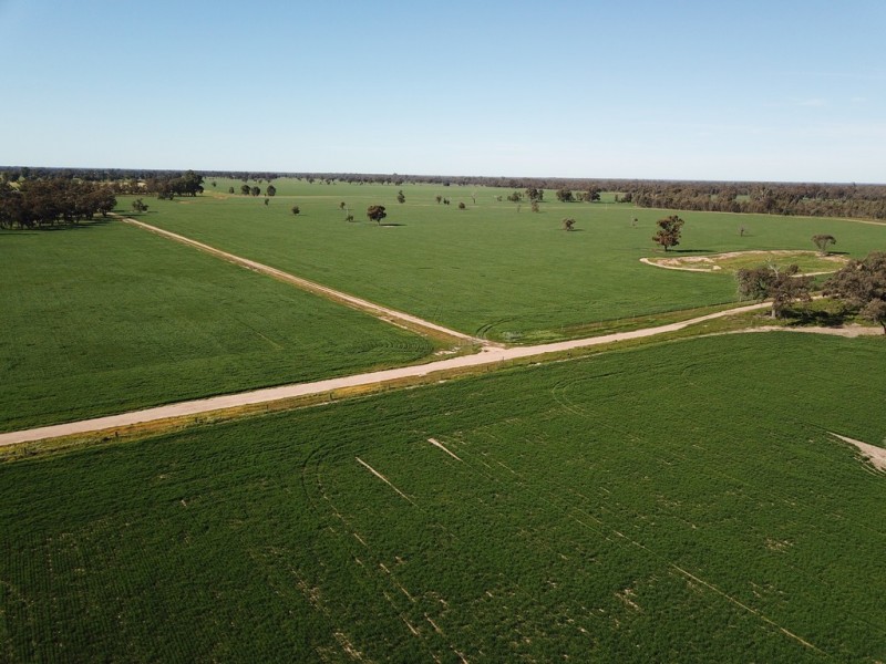 535 Aratula South Road, Deniliquin NSW 2710