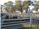 535 Aratula South Road, Deniliquin NSW 2710