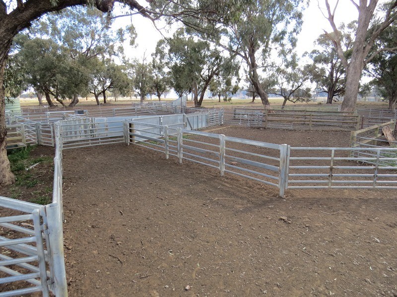 535 Aratula South Road, Deniliquin NSW 2710
