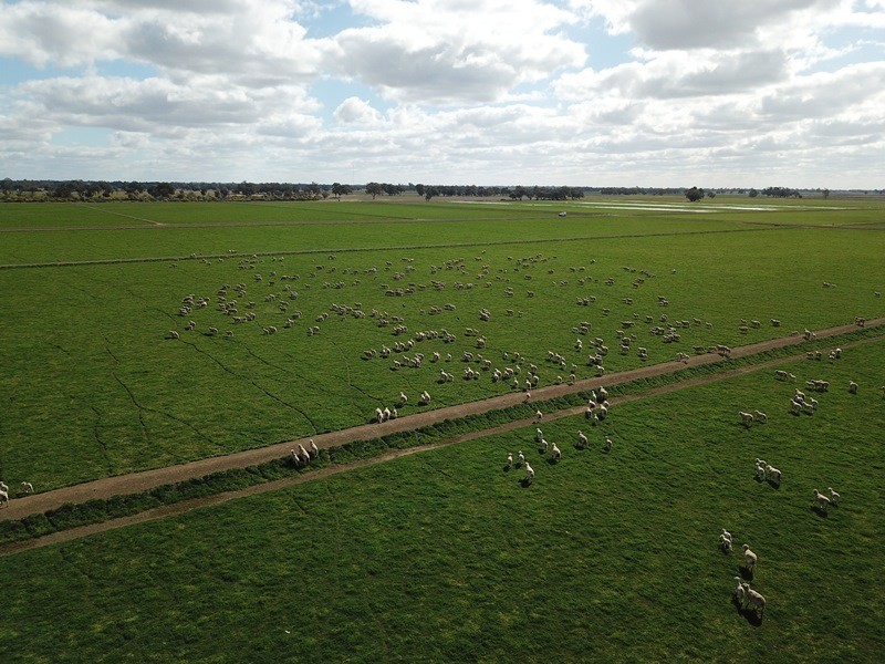 535 Aratula South Road, Deniliquin NSW 2710