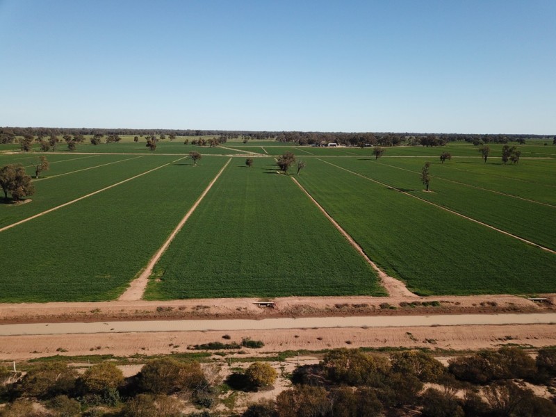 535 Aratula South Road, Deniliquin NSW 2710