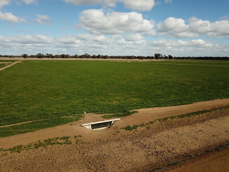 535 Aratula South Road, Deniliquin NSW 2710