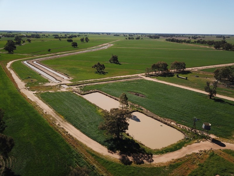 535 Aratula South Road, Deniliquin NSW 2710