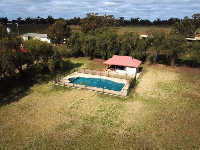 123 Yarrawonga Road, Berrigan NSW 2712