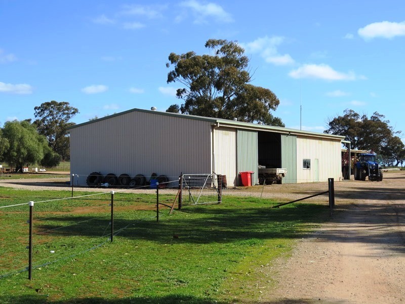 123 Yarrawonga Road, Berrigan NSW 2712