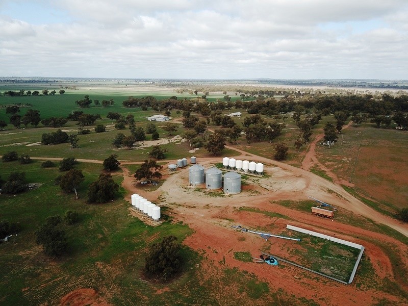 123 Yarrawonga Road, Berrigan NSW 2712