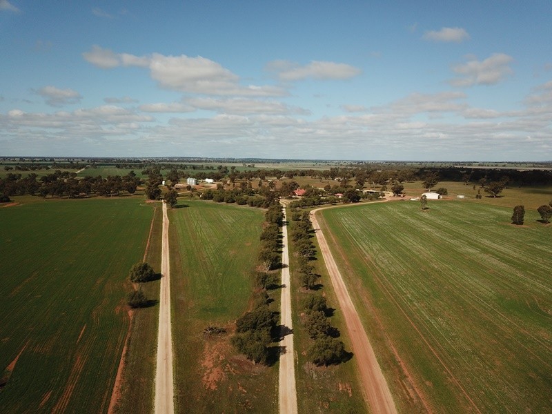 123 Yarrawonga Road, Berrigan NSW 2712