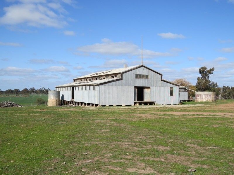 123 Yarrawonga Road, Berrigan NSW 2712