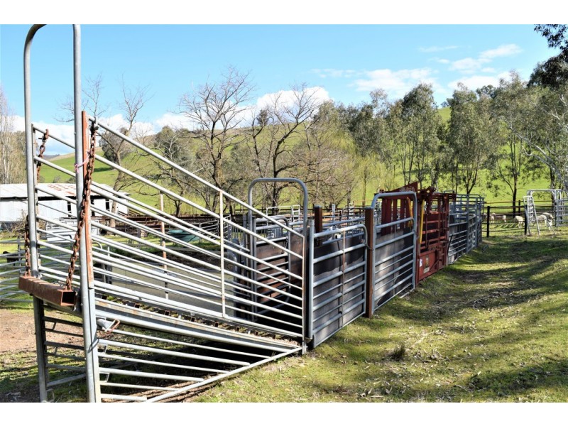 4526 River Road, Talmalmo NSW 2640