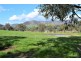 4526 River Road, Talmalmo NSW 2640