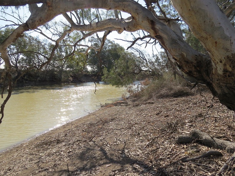 Lot 3 Benjeroop Lake Charm Road, Benjeroop VIC 3579
